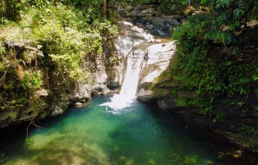 JUNGLE DREAMS FARM: WHERE NATURE MEETS SERENITY – 20 ACRES